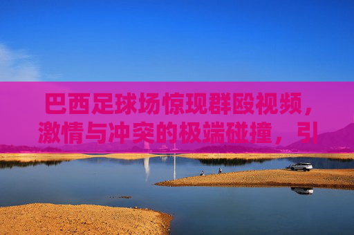 巴西足球场惊现群殴视频,激情与冲突的极端碰撞,引全球体育界震动