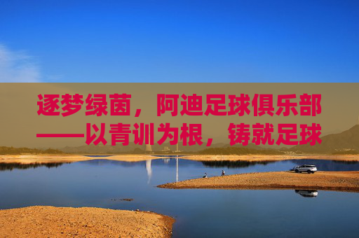 逐梦绿茵，阿迪足球俱乐部——以青训为根，铸就足球未来