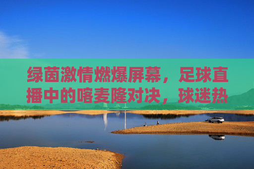绿茵激情燃爆屏幕，足球直播中的喀麦隆对决，球迷热血随球共赴盛宴，绿茵激情燃爆屏幕，喀麦隆对决足球直播中，球迷热血共赴盛宴