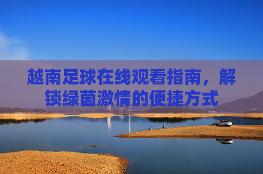 越南足球在线观看指南，解锁绿茵激情的便捷方式