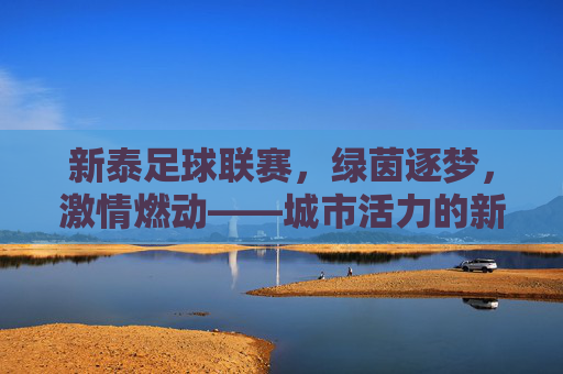 新泰足球联赛,绿茵逐梦,激情燃动——城市活力的新坐标