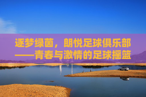 逐梦绿茵，朗悦足球俱乐部——青春与激情的足球摇篮