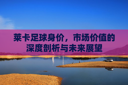 莱卡足球身价,市场价值的深度剖析与未来展望