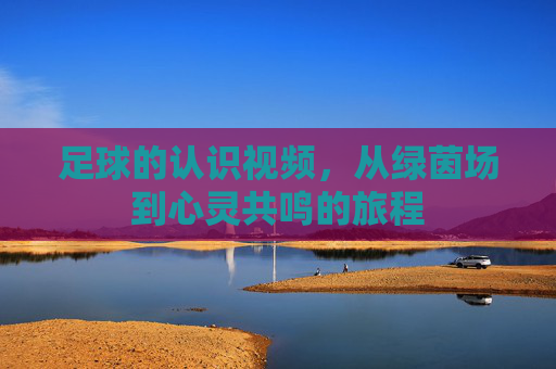足球的认识视频,从绿茵场到心灵共鸣的旅程
