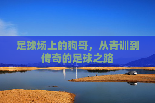 足球场上的狗哥,从青训到传奇的足球之路