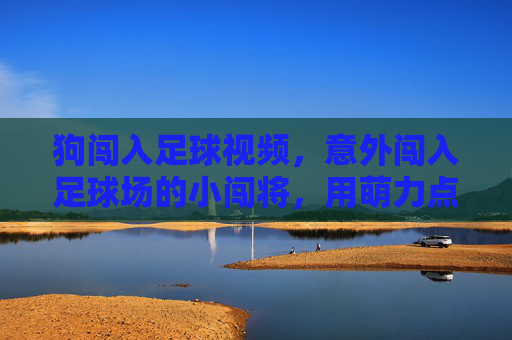 狗闯入足球视频,意外闯入足球场的小闯将,用萌力点燃全网笑点与感动