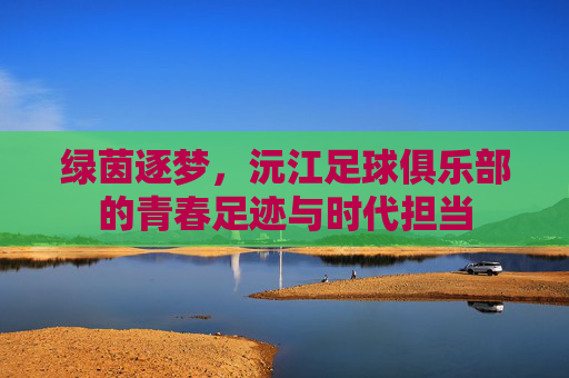 绿茵逐梦,沅江足球俱乐部的青春足迹与时代担当