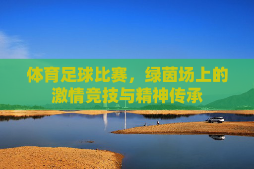 体育足球比赛,绿茵场上的激情竞技与精神传承