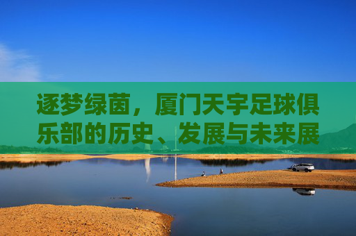 逐梦绿茵,厦门天宇足球俱乐部的历史、发展与未来展望