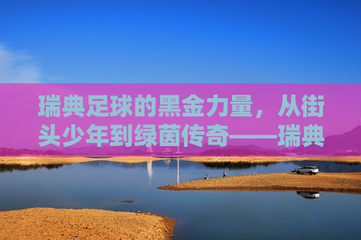 瑞典足球的黑金力量,从街头少年到绿茵传奇——瑞典黑人足球星的崛起之路
