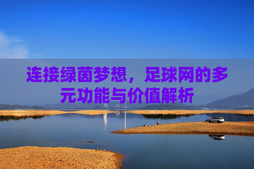 连接绿茵梦想,足球网的多元功能与价值解析