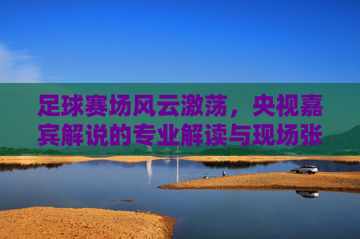 足球赛场风云激荡,央视嘉宾解说的专业解读与现场张力