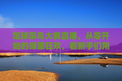 足球菜鸟大赛直播,从零开始的绿茵狂欢,看新手们用热爱点燃赛场