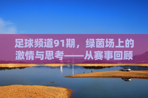 足球频道91期，绿茵场上的激情与思考——从赛事回顾到未来展望