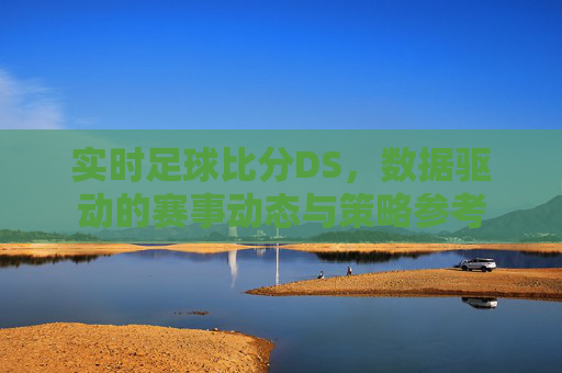 实时足球比分DS,数据驱动的赛事动态与策略参考