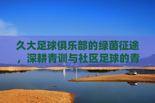 久大足球俱乐部的绿茵征途，深耕青训与社区足球的青春故事，久大足球俱乐部的绿茵征途，深耕青训与社区足球的青春故事