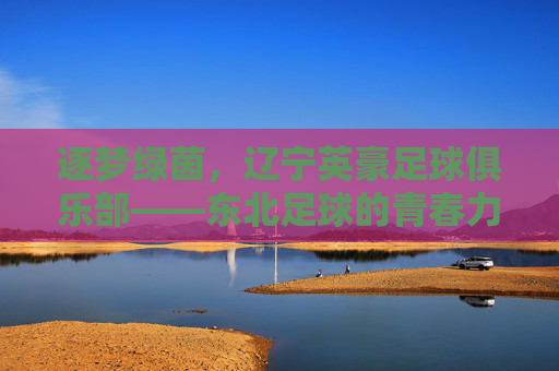 逐梦绿茵，辽宁英豪足球俱乐部——东北足球的青春力量与传承之路