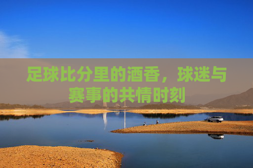 足球比分里的酒香,球迷与赛事的共情时刻