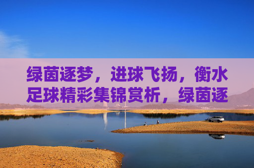 绿茵逐梦,进球飞扬,衡水足球精彩集锦赏析,绿茵逐梦,进球飞扬,衡水足球精彩集锦赏析