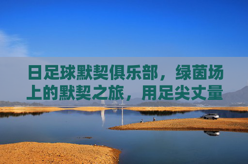 日足球默契俱乐部,绿茵场上的默契之旅,用足尖丈量友谊的深度