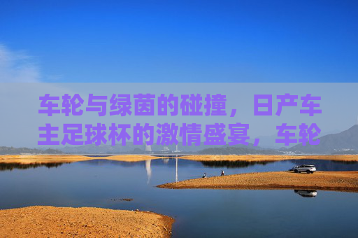 车轮与绿茵的碰撞,日产车主足球杯的激情盛宴,车轮与绿茵的碰撞,日产车主足球杯的激情盛宴