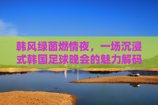 韩风绿茵燃情夜,一场沉浸式韩国足球晚会的魅力解码
