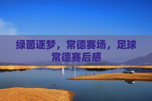 绿茵逐梦,常德赛场,足球常德赛后感