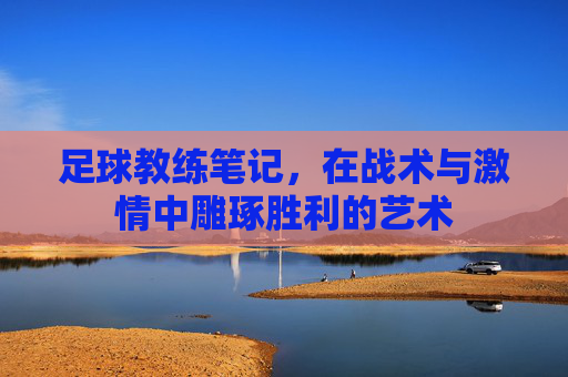 足球教练笔记,在战术与激情中雕琢胜利的艺术
