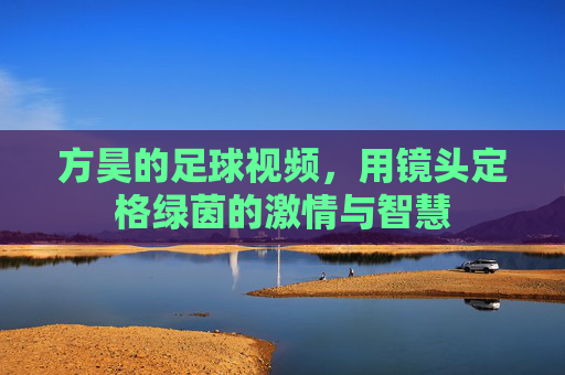 方昊的足球视频,用镜头定格绿茵的激情与智慧