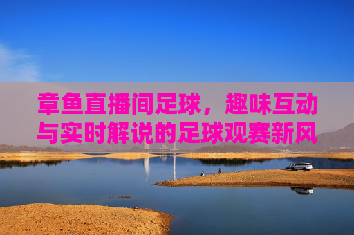 章鱼直播间足球,趣味互动与实时解说的足球观赛新风尚