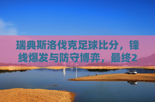 瑞典斯洛伐克足球比分,锋线爆发与防守博弈,最终2:1,北欧劲旅胜出