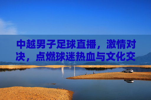 中越男子足球直播，激情对决，点燃球迷热血与文化交流的火花