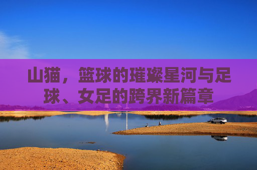 山猫,篮球的璀璨星河与足球、女足的跨界新篇章