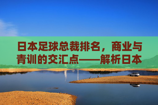 日本足球总裁排名,商业与青训的交汇点——解析日本足球管理者在职业化进程中的战略布局,日本足球总裁排名,商业与青训的交汇点——解析职业化进程中的战略布局