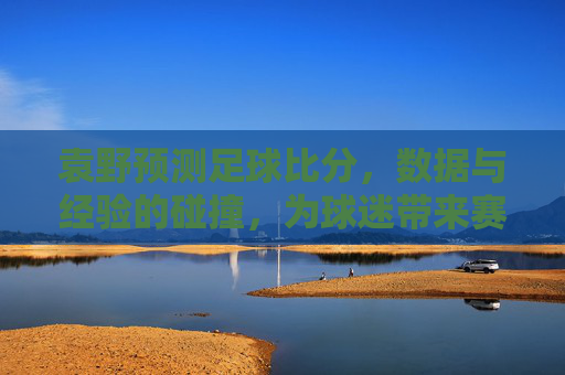 袁野预测足球比分,数据与经验的碰撞,为球迷带来赛事解读的全新视角