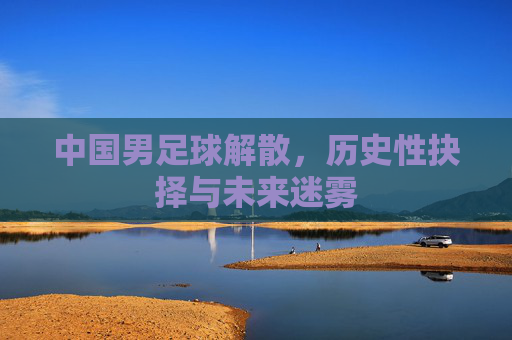 中国男足球解散,历史性抉择与未来迷雾
