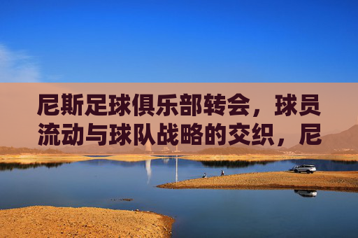 尼斯足球俱乐部转会,球员流动与球队战略的交织,尼斯足球俱乐部转会,球员流动与球队战略的交织