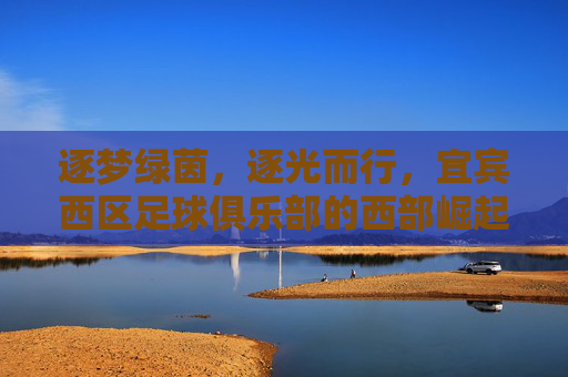 逐梦绿茵,逐光而行,宜宾西区足球俱乐部的西部崛起之路