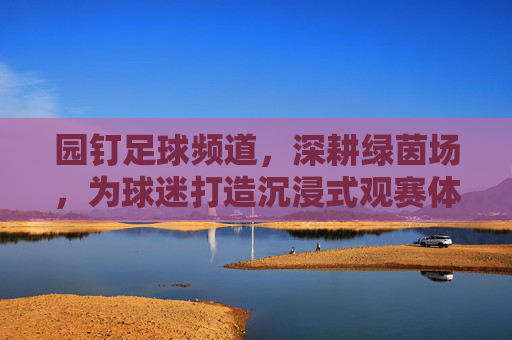 园钉足球频道,深耕绿茵场,为球迷打造沉浸式观赛体验