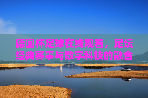 德国杯足球在线观看,足坛经典赛事与数字科技的融合之旅