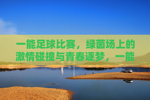 一能足球比赛，绿茵场上的激情碰撞与青春逐梦，一能足球比赛，绿茵场上的激情碰撞与青春逐梦