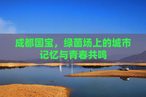 成都国宝，绿茵场上的城市记忆与青春共鸣