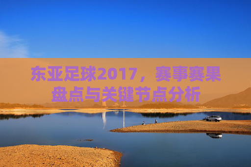 东亚足球2017,赛事赛果盘点与关键节点分析