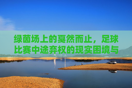 绿茵场上的戛然而止,足球比赛中途弃权的现实困境与深层反思