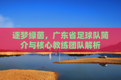 逐梦绿茵,广东省足球队简介与核心教练团队解析