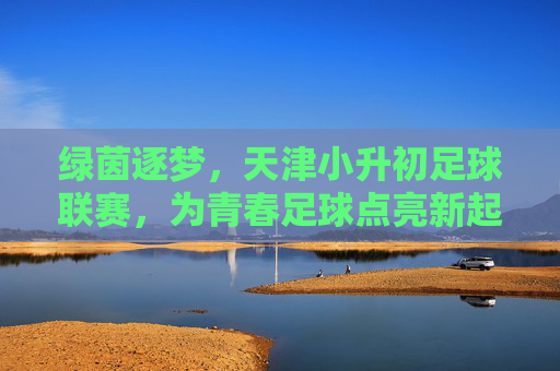 绿茵逐梦,天津小升初足球联赛,为青春足球点亮新起点,绿茵逐梦,天津小升初足球联赛为青春足球点亮新起点