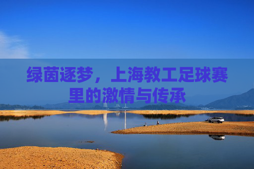 绿茵逐梦,上海教工足球赛里的激情与传承