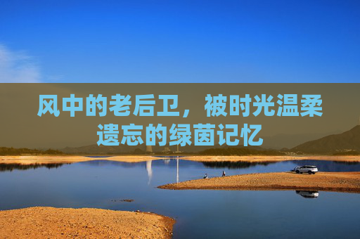 风中的老后卫,被时光温柔遗忘的绿茵记忆