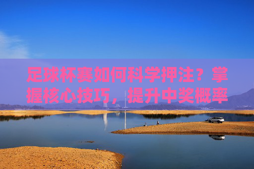 足球杯赛如何科学押注?掌握核心技巧,提升中奖概率