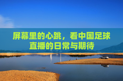 屏幕里的心跳,看中国足球直播的日常与期待